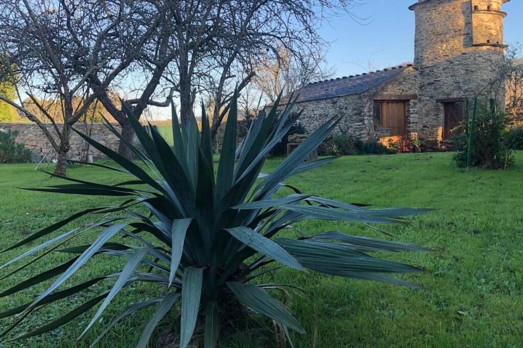 Apartamento Turistico Con Precioso Jardin - Los Gayoles Rural Castropol Eksteriør bilde