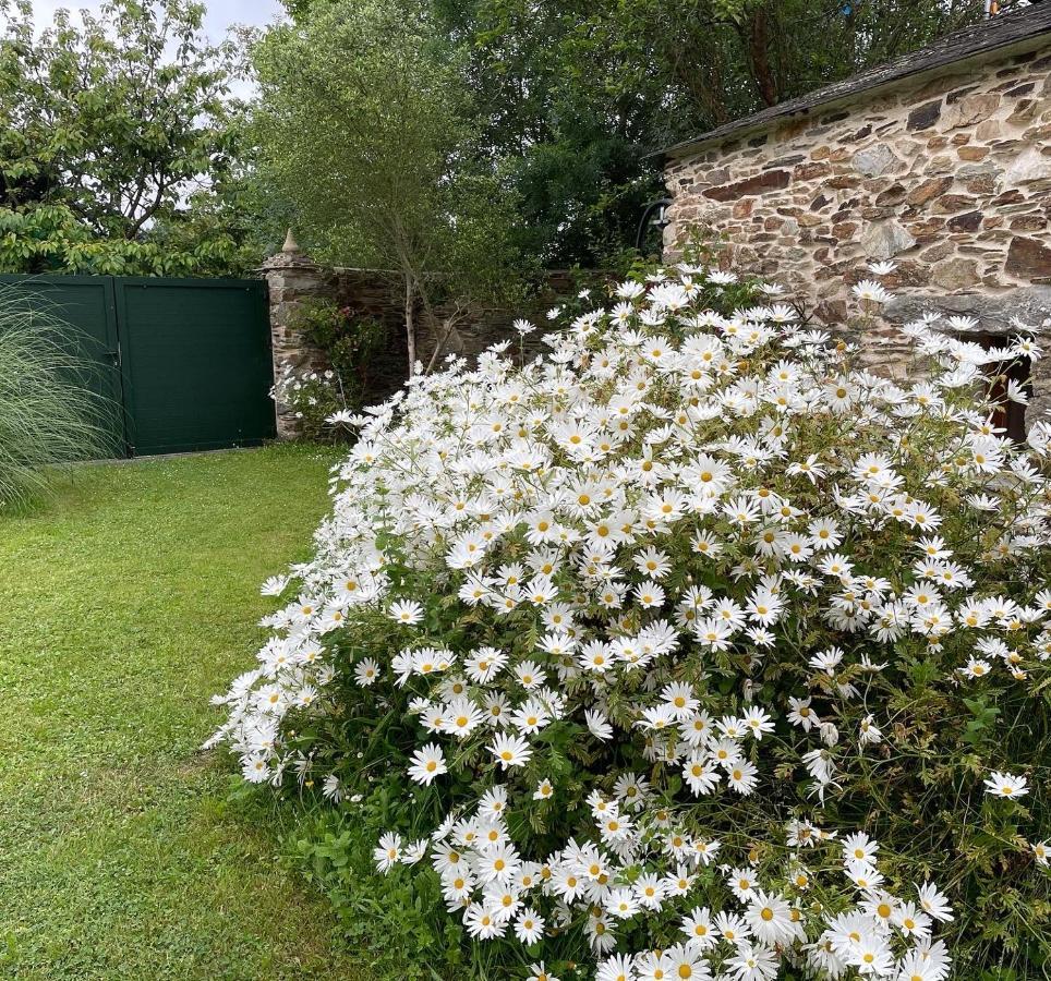 Apartamento Turistico Con Precioso Jardin - Los Gayoles Rural Castropol Eksteriør bilde